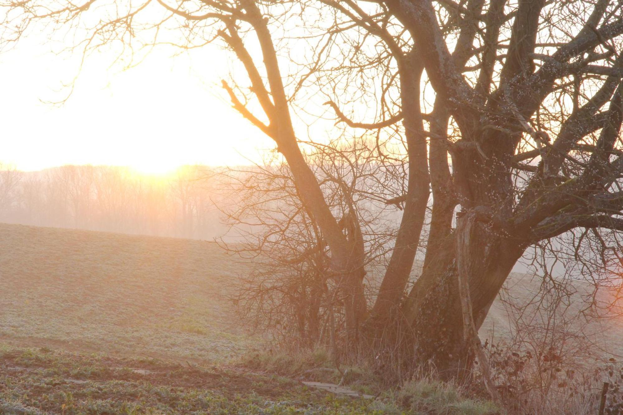 Etangs Du Moulin Hotell Suzy Rom bilde